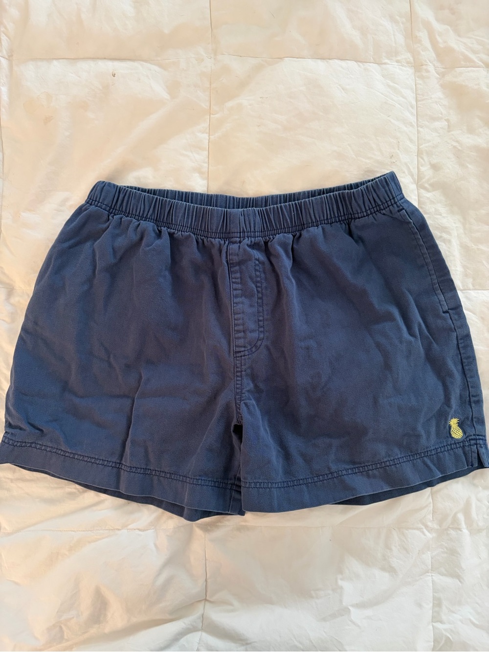 chubbies Navy Men’s Shorts